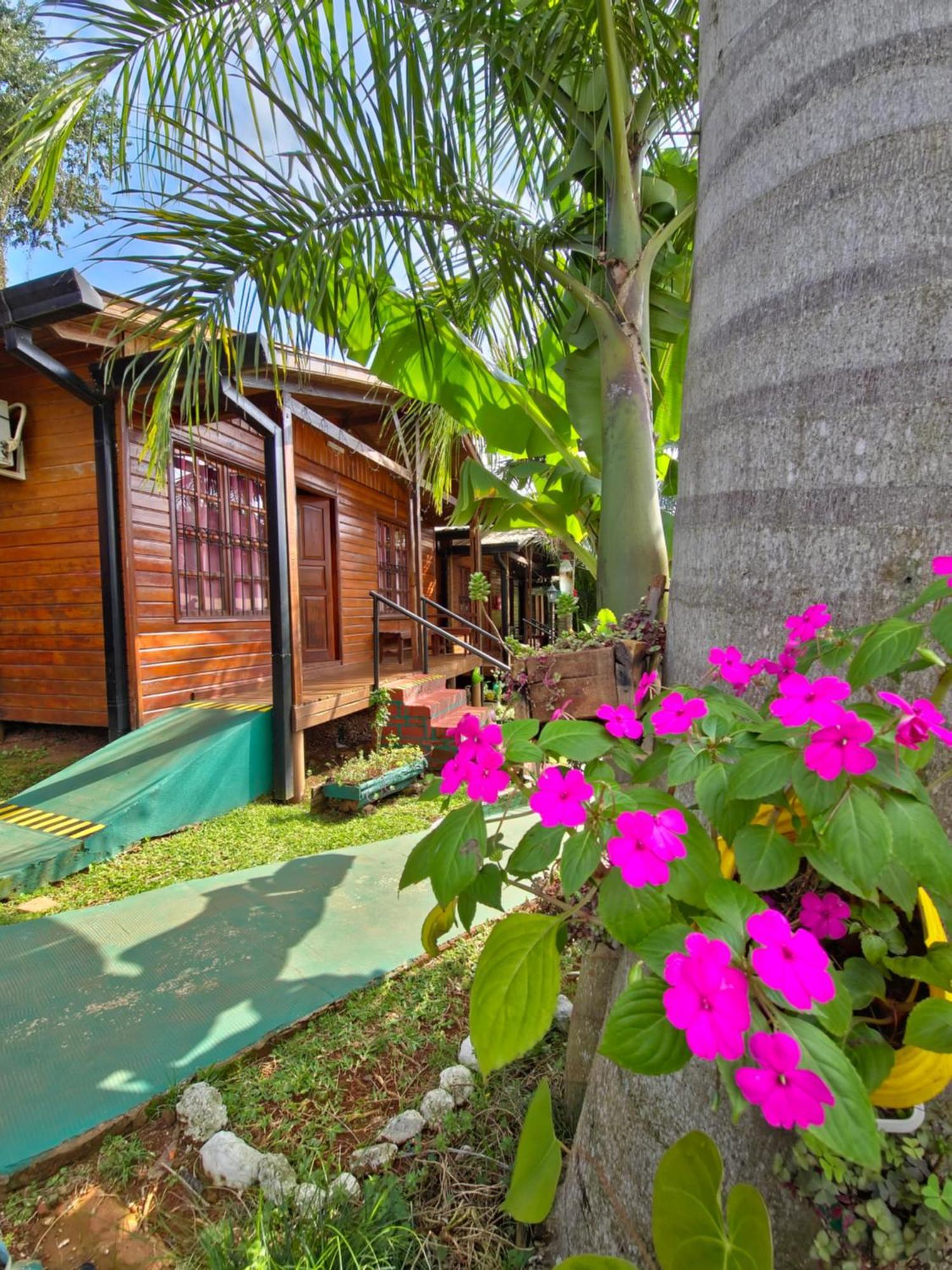 Terra Iguazu Cabanas ปูแอร์โตอีกวาซู ภายนอก รูปภาพ