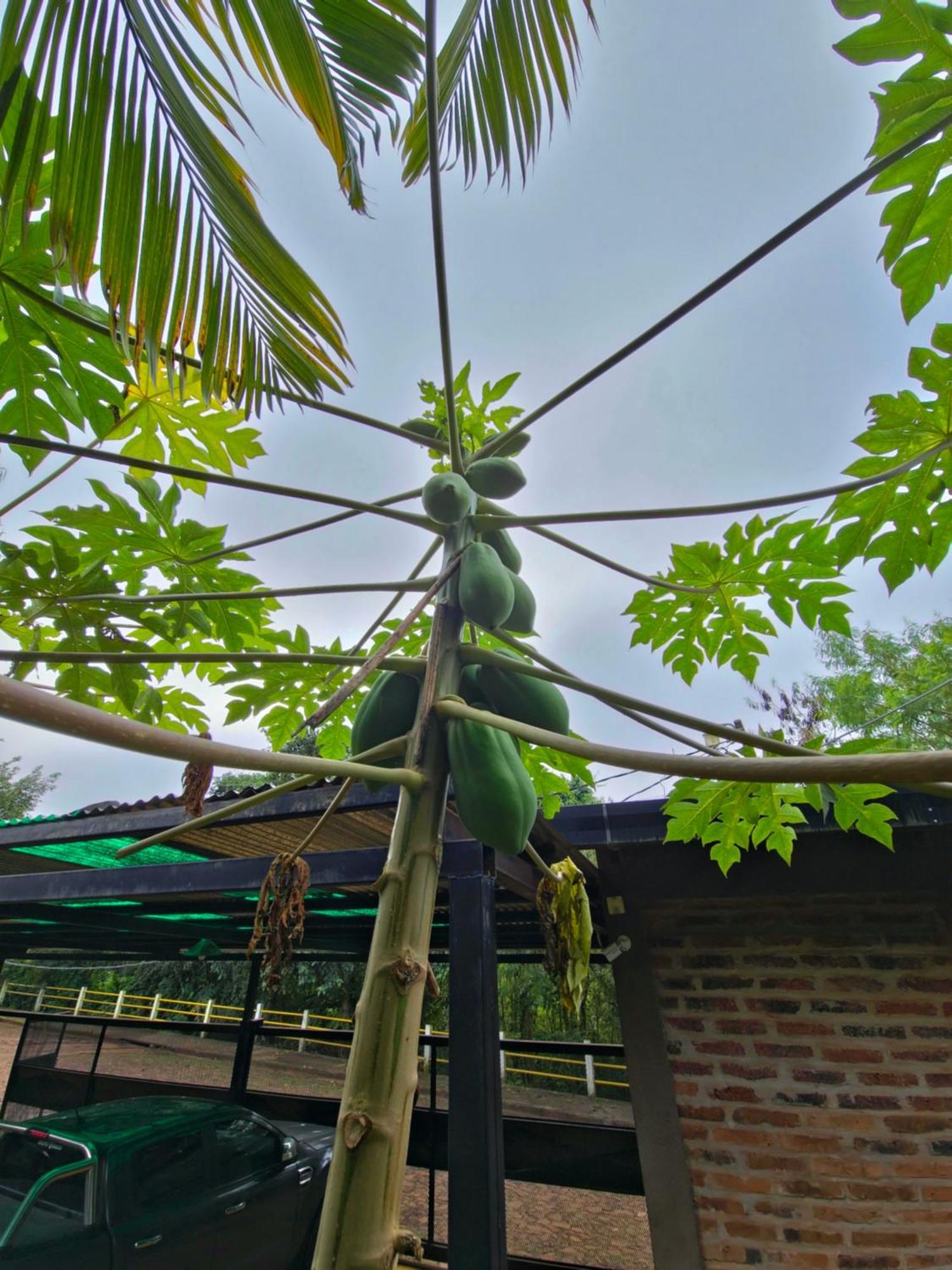 Terra Iguazu Cabanas ปูแอร์โตอีกวาซู ภายนอก รูปภาพ